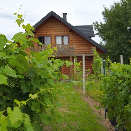 Villa Dom Pachnacy Zywica Salzberg Exterior foto